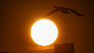 Stiftung Warentest empfiehlt zwei Balkonkraftwerke - und f&uuml;nf nicht