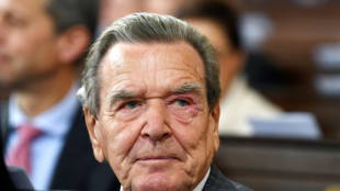 Gabriel f&auml;llt zu Schr&ouml;ders 80. "zwiesp&auml;ltiges" Urteil &uuml;ber Ex-Kanzler
