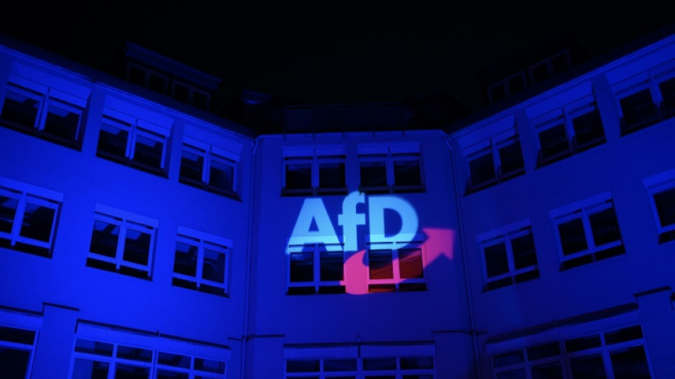 AfD-Verbotsantrag: Studie sieht Verfassungsschutz-Gutachten als guten Ausgangspunkt