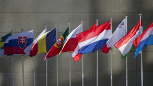 Zoll-Verhandlungen mit USA: Grünes Licht für EU-Gegenzölle bei Scheitern