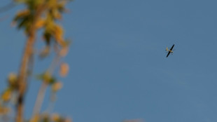 Rusia afirma que tomó tres pueblos en el este de Ucrania