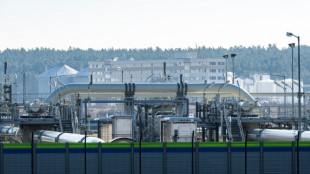 Kanada erlaubt Ausfuhr reparierter Turbinen f&uuml;r Gaspipeline Nord Stream 1 