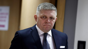 Medien: Slowakischer Regierungschef Fico durch Sch&uuml;sse verletzt