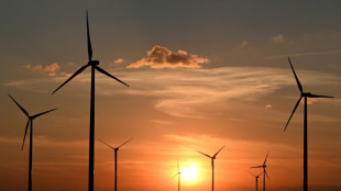 Trend h&auml;lt an: Hoher Wettbewerb beim Zubau neuer Windkraftanlagen