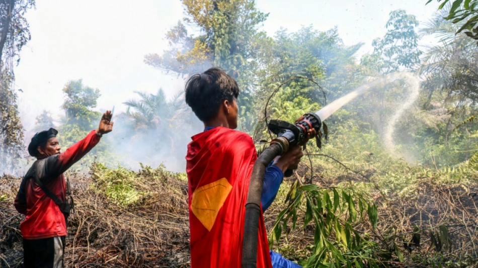 'Keep up the spirit': Indonesian teenage 'Superman' joins wildfire fight