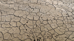 Guardian, 'almeno 35.000 morti in Europa per ondate calore di questa estate'