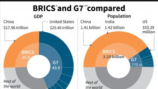 Join the club: BRICS faces rift over push for new members
