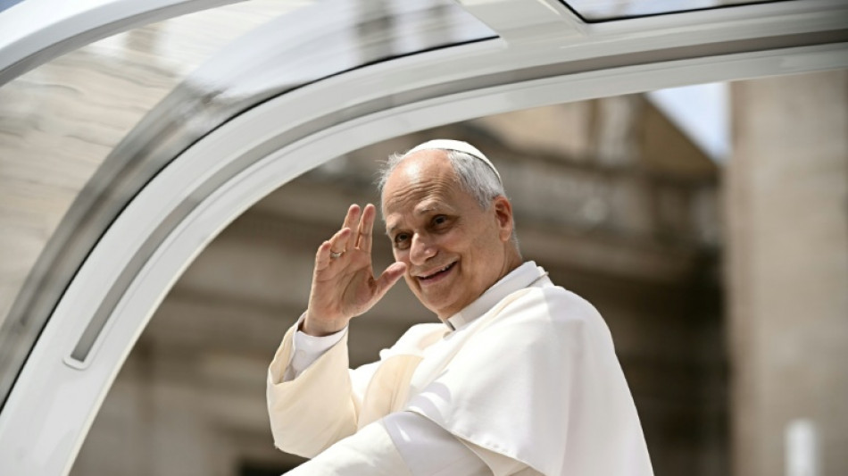 Vatican: des activistes anti-corrida neutralis&eacute;s avant l'audience du pape