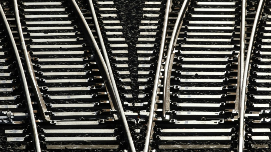 Vorplanung f&uuml;r Bau neuer Schnellbahnstrecke Dresden-Prag abgeschlossen