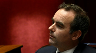 Budget de l'Etat: la défense plébiscitée mais les débats pourraient se prolonger