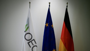 L'OCDE plus optimiste pour la croissance des poids lourds &eacute;conomiques en 2025