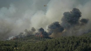 Dans l'Aude, le plus gros incendie de l'été, un blessé grave et des maisons brûlées
