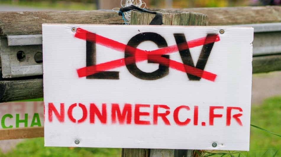 Au sud de Bordeaux, une "cha&icirc;ne humaine" pour dire non &agrave; la LGV Sud-Ouest