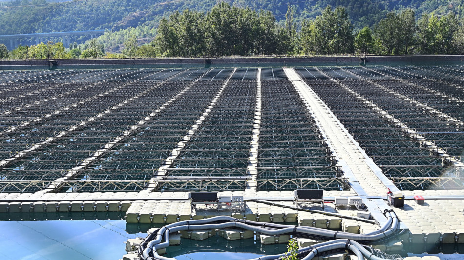 Sabato (Acea), 'per transizione servono regole chiare e tempi certi'