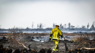 Waldbrand in Belgien "vollumf&auml;nglich unter Kontrolle" - deutsche Feuerwehr zieht ab