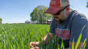 'Blindsided': US farmers strained as fertilizer costs surge on war