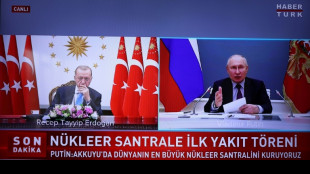 Erdogan viajar&aacute; "pronto" a Rusia para reunirse con Putin