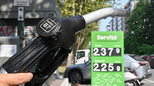 Confindustria etnea, autotrasporto siciliano fermo dal 16 al 22 ottobre