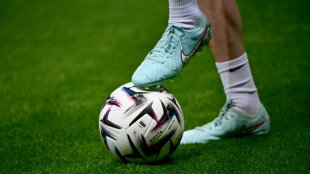 Gouvernance du sport et d&eacute;rives du foot: un autre match a d&eacute;but&eacute; &agrave; l'Assembl&eacute;e