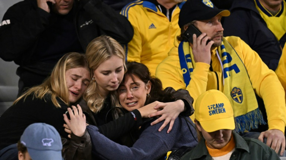 El partido B&eacute;lgica-Suecia (1-1), suspendido por el atentado de Bruselas, no se reanudar&aacute;