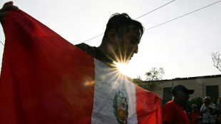 Descontento social y denuncias por represi&oacute;n: Per&uacute; fracturado por las protestas