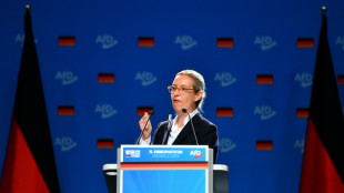 Vor Neuwahl: AfD h&auml;lt im Januar zweit&auml;gigen Parteitag ab