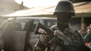 El ej&eacute;rcito de Mal&iacute; y combatientes "extranjeros" ejecutaron a 500 personas en 2022, seg&uacute;n la ONU