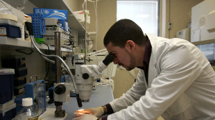 C'&egrave; un interruttore che blocca la produzione di cellule adipose