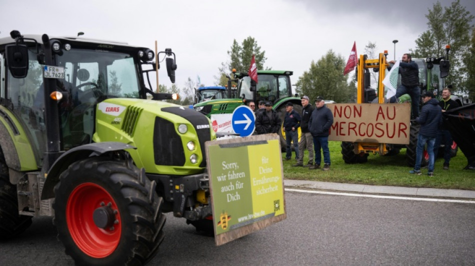 La UE detalla cómo protegerá a los agricultores europeos en el tratado con Mercosur