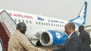 Sudan army chief visits Egypt as deadly violence grips Darfur 