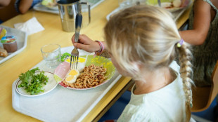 Baden-Württemberg: Klage gegen vegetarisches Schulessen scheitert vor Gericht