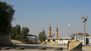 Afghanistan/Pakistan: la trêve fragile objet de discussions en Turquie