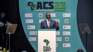 Primeros anuncios de inversiones en energ&iacute;a verde en la Cumbre Africana sobre el Clima