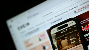 Poup&eacute;es p&eacute;dopornographiques: la plateforme Shein vis&eacute;e par une enqu&ecirc;te de l'UE