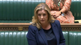 Los diputados brit&aacute;nicos aprueban sancionar a Johnson por mentir al Parlamento