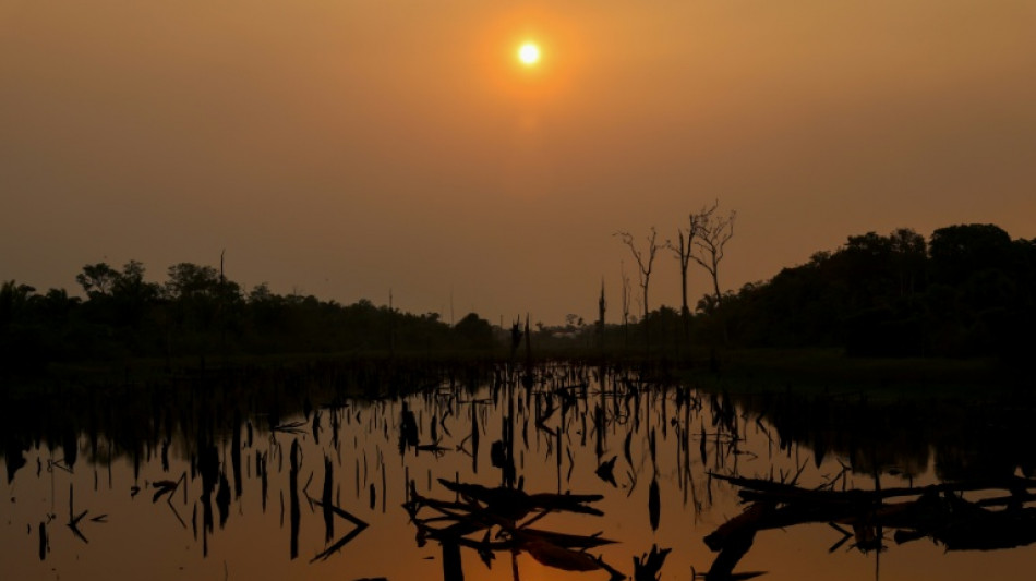 Brasil investiga una disparada de incendios "criminales" en la Amazon&iacute;a