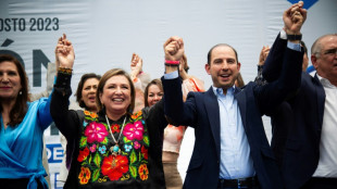 La derechista G&aacute;lvez ser&aacute; la candidata &uacute;nica opositora para las presidenciales de M&eacute;xico