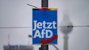 Brandenburger CDU-Chef: AfD sollte Bundestags-Vizepr&auml;sidenten stellen