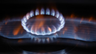 Il prezzo del gas apre in rialzo del 25% a 39,85 euro