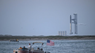 SpaceX scrubs test flight of Starship, world's biggest rocket
