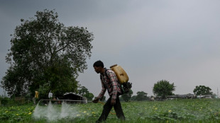 Los pesticidas agravan la crisis clim&aacute;tica, apuntan oeneg&eacute;s brit&aacute;nicas