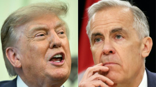 Droits de douane: le Canada va d&eacute;tailler sa r&eacute;ponse &agrave; Trump