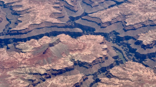 Part of Grand Canyon evacuated as wildfire spreads