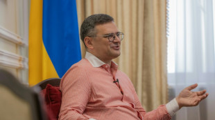 Ucrania necesitar&aacute; armas de Occidente "hasta que hayamos ganado" (ministro a la AFP)