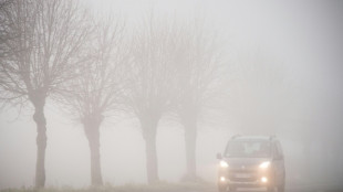 ADAC warnt vor weihnachtlichem Reiseverkehr am Freitag und Samstag