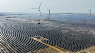 Electricité bas carbone: l'Inde franchit un cap mais la route vers la neutralité sera longue