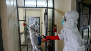 Las negociaciones para completar el tratado mundial sobre las pandemias se estancan en Ginebra