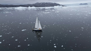 'Less and less sea ice': Brazil woman sails solo through Arctic