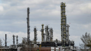 Regierung stellt deutsche Rosneft-T&ouml;chter unter Treuhandverwaltung