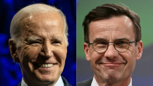 Biden to host Swedish PM for talks on NATO, Ukraine